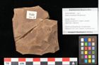 Foto (Detailsansicht) von Quercus palaeoilex Ettingshausen (NHMW-GEO-2024-0188-0940)